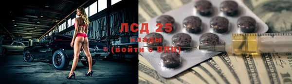 гидра Кулебаки