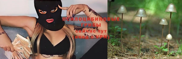 гидра Кулебаки