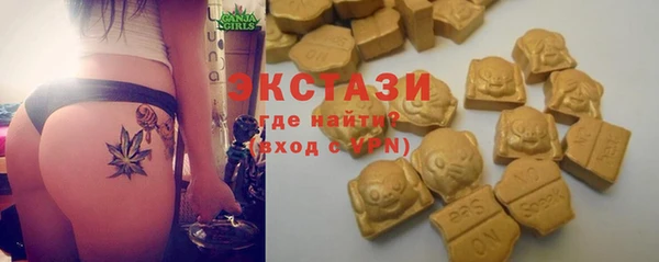 гидра Кулебаки