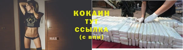 МДПВ Кукмор