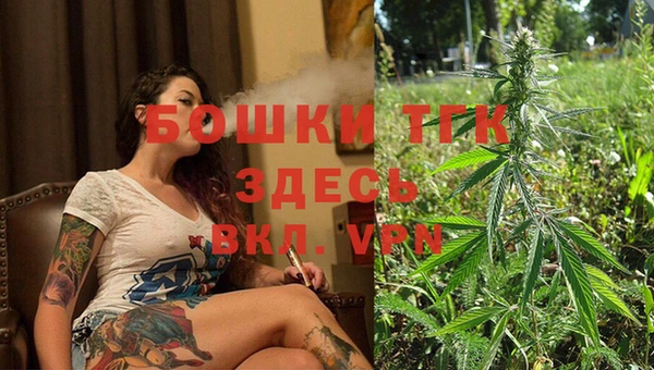 гидра Кулебаки