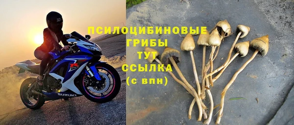 мяу мяу мука Куйбышев