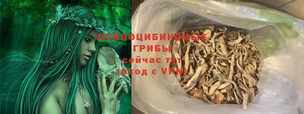 МДПВ Кукмор