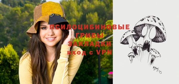 гидра Кулебаки