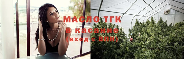гидра Кулебаки