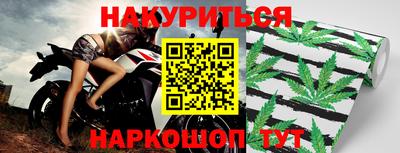 прущие грибы Гагарин