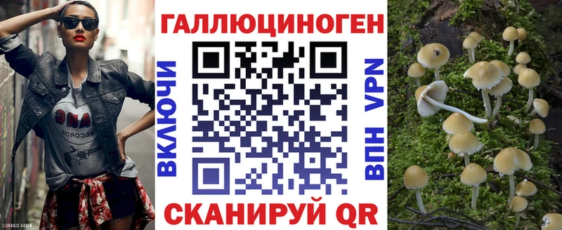 Галлюциногенные грибы GOLDEN TEACHER  omg как войти  Новоалександровск 