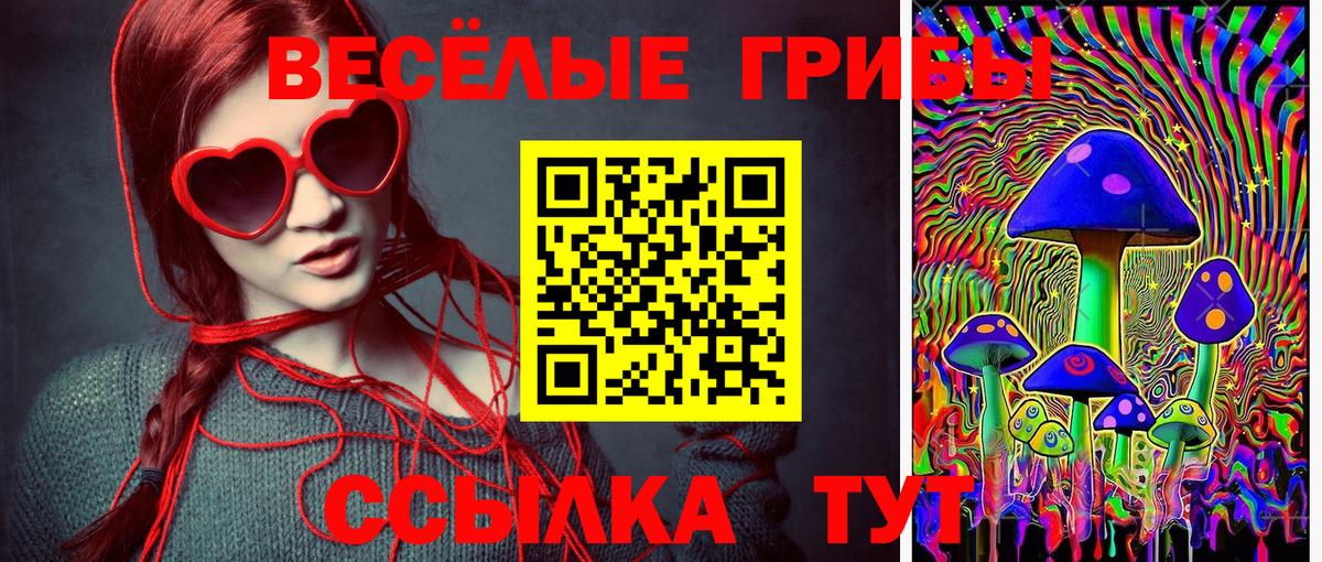 Галлюциногенные грибы ЛСД Новоалександровск