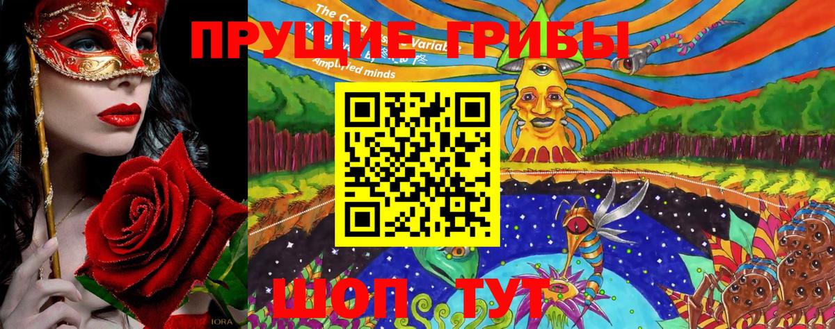 Новоалександровск  Галлюциногенные грибы GOLDEN TEACHER  Вход с VPN 